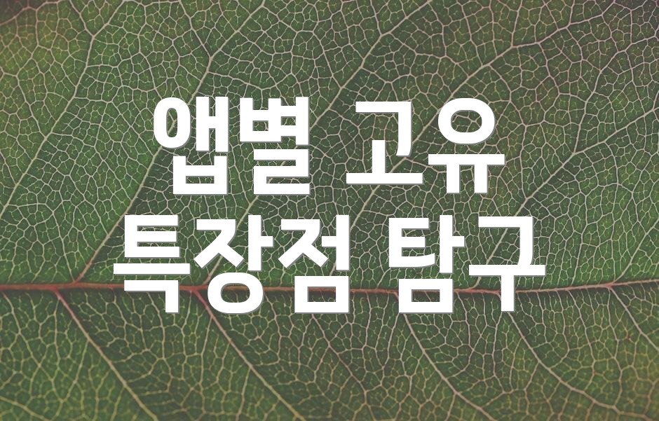 앱별 고유 특장점 탐구