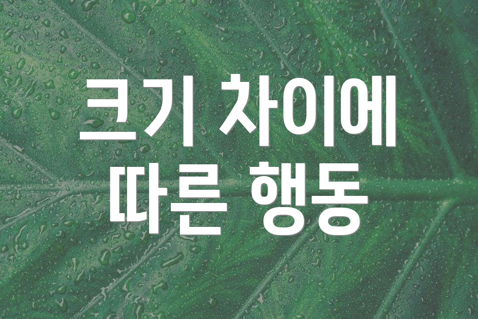 크기 차이에 따른 행동