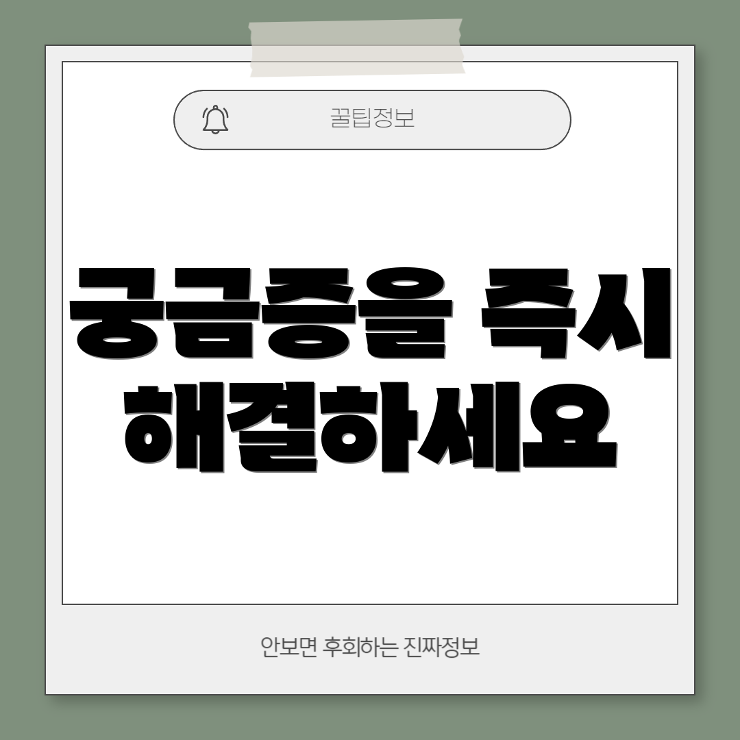 궁금증을 즉시 해결하세요
