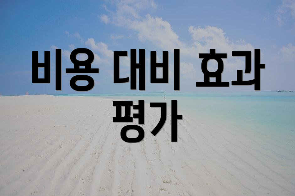비용 대비 효과 평가