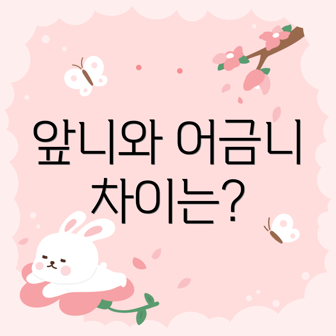 앞니와 어금니 차이는?