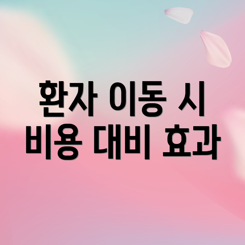 환자 이동 시 비용 대비 효과