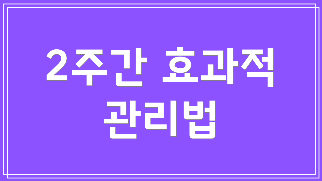 2주간 효과적 관리법