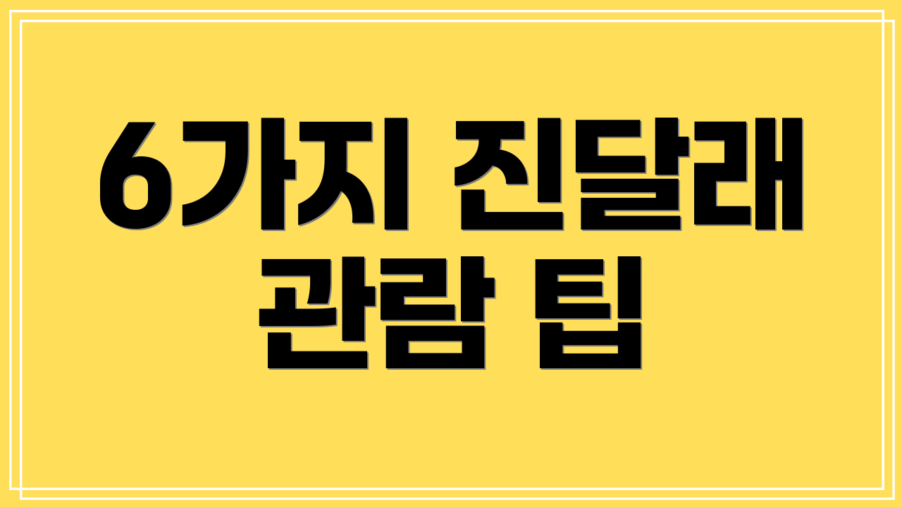 6가지 진달래 관람 팁