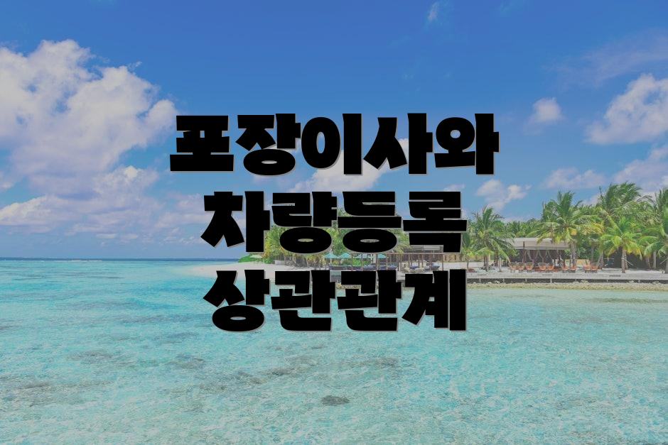 포장이사와 차량등록 상관관계