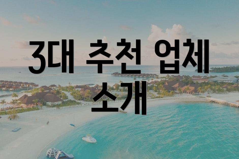 3대 추천 업체 소개