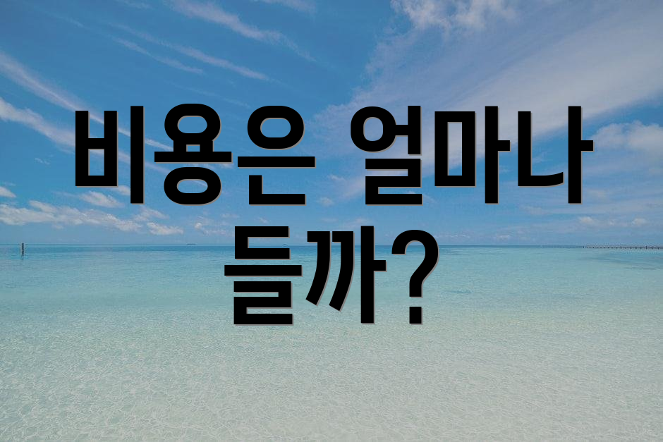 비용은 얼마나 들까?