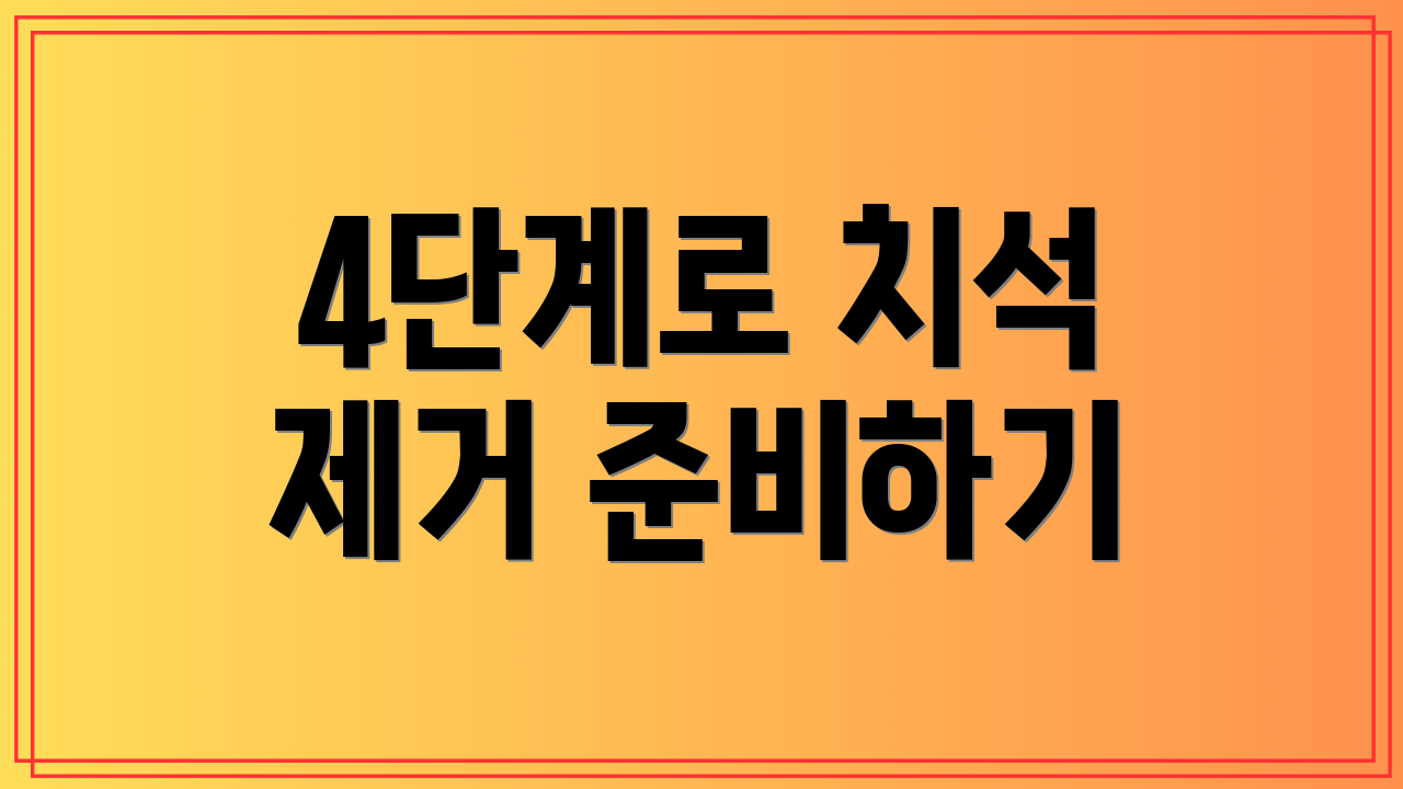 4단계로 치석 제거 준비하기