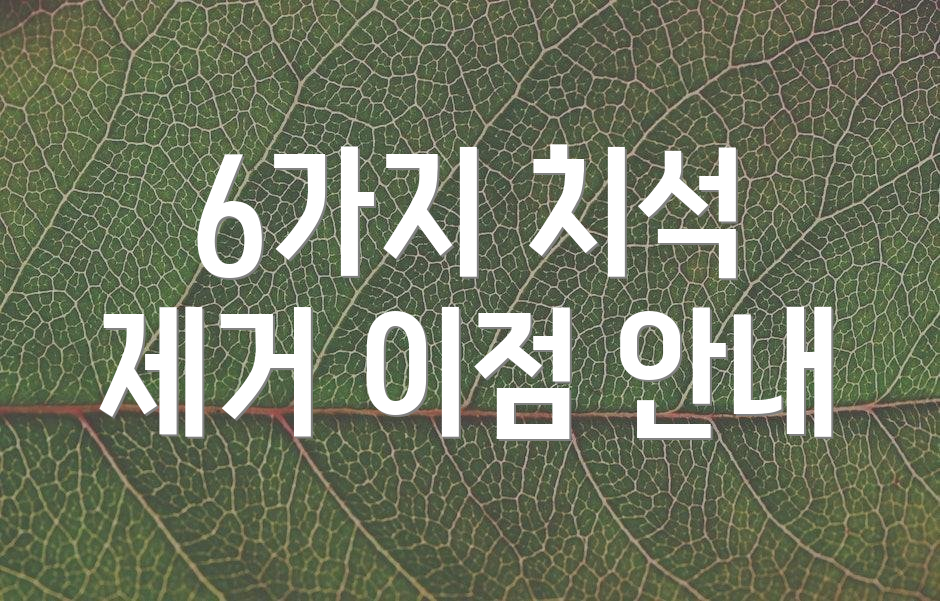6가지 치석 제거 이점 안내