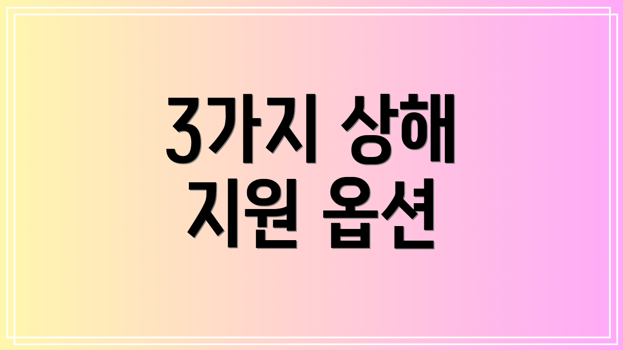 3가지 상해 지원 옵션