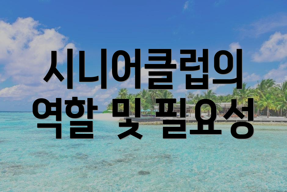시니어클럽의 역할 및 필요성