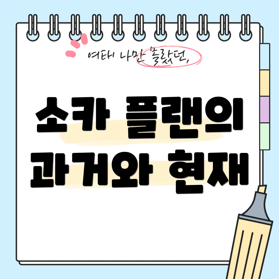 소카 플랜의 과거와 현재