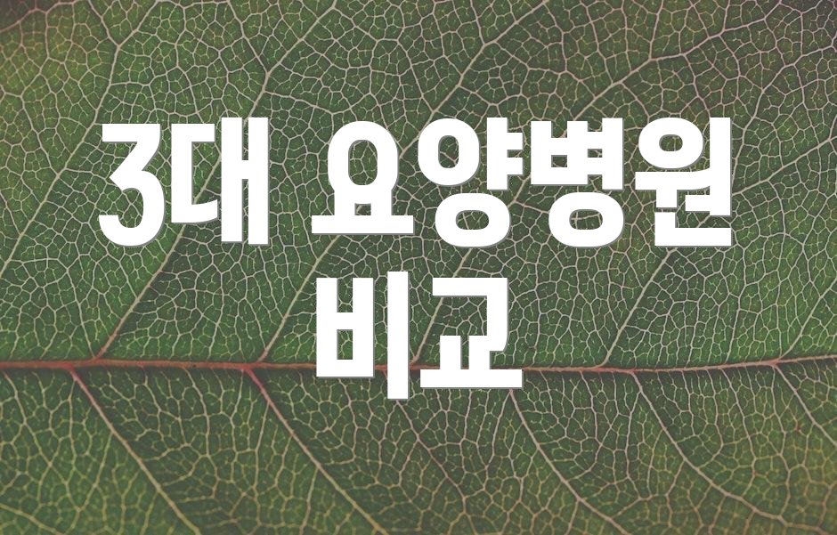 3대 요양병원 비교
