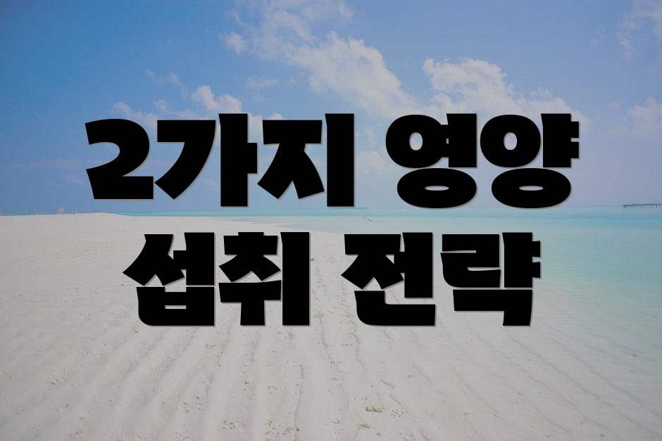 2가지 영양 섭취 전략