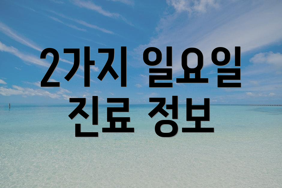 2가지 일요일 진료 정보