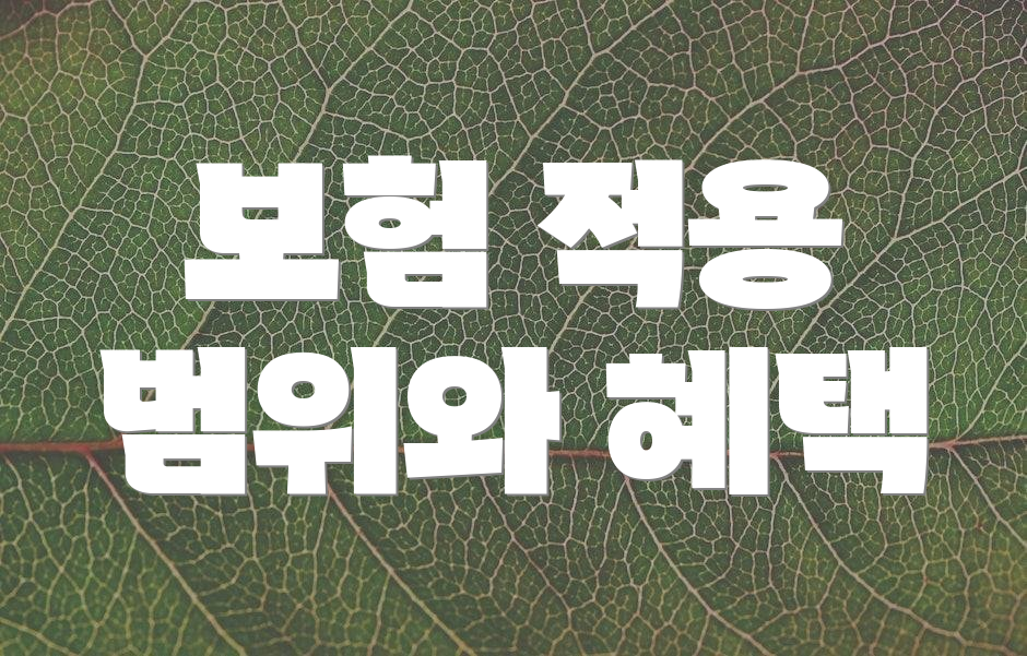 보험 적용 범위와 혜택