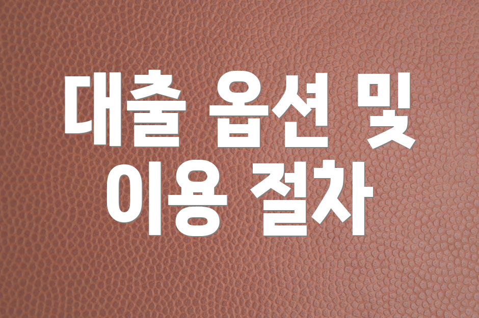 대출 옵션 및 이용 절차
