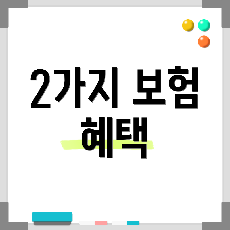 2가지 보험 혜택