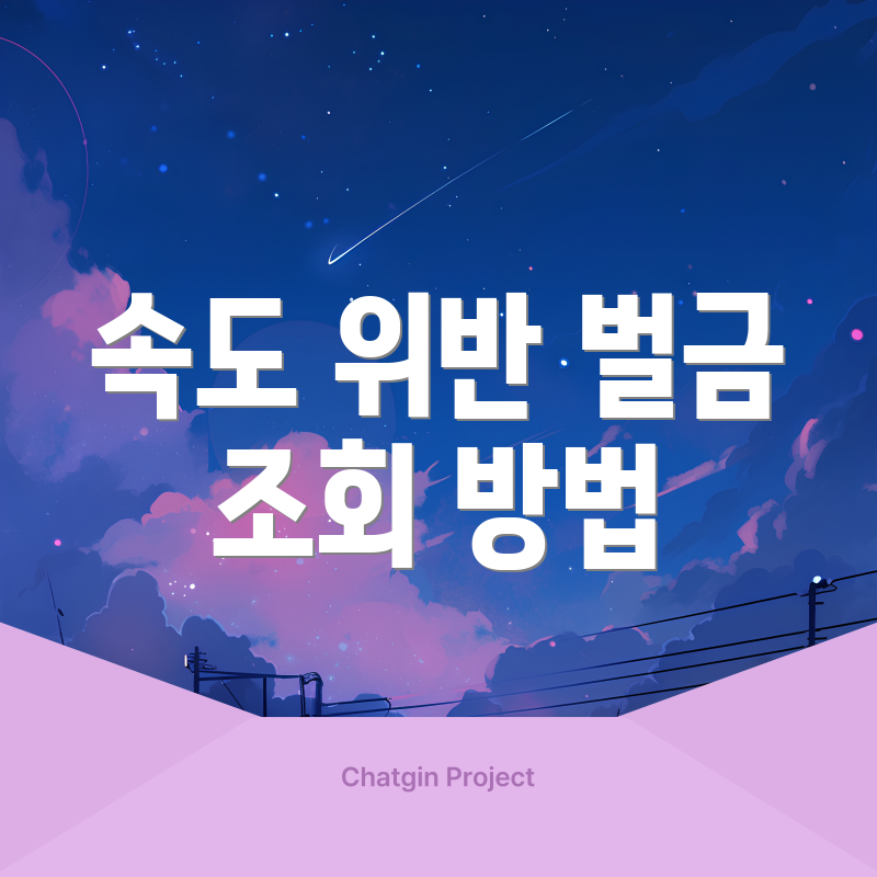 속도 위반 벌금 조회 방법