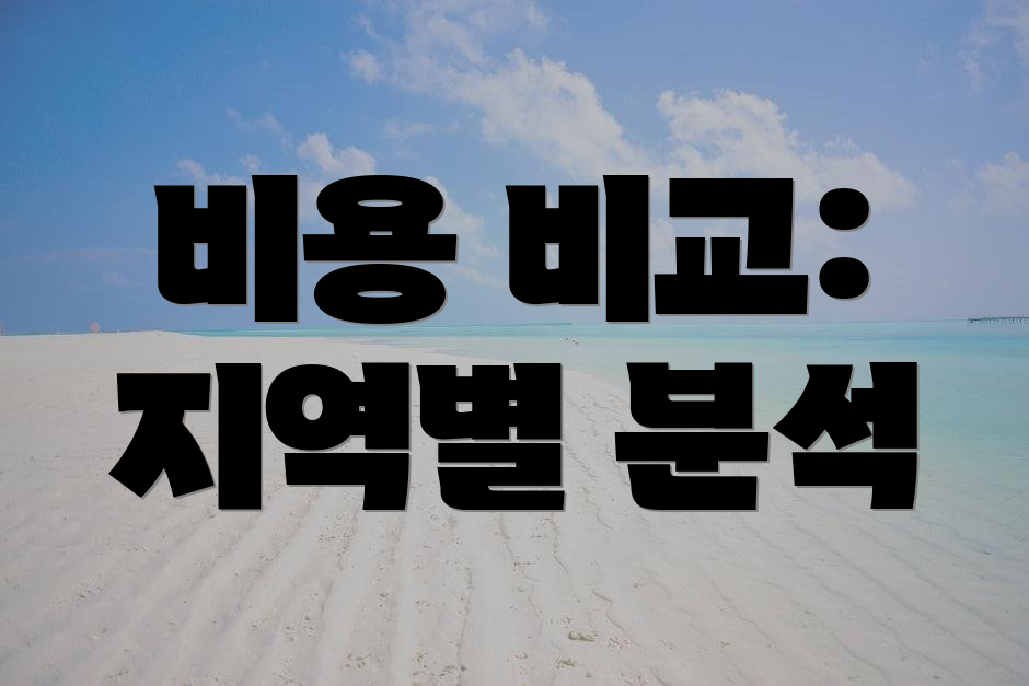 비용 비교: 지역별 분석