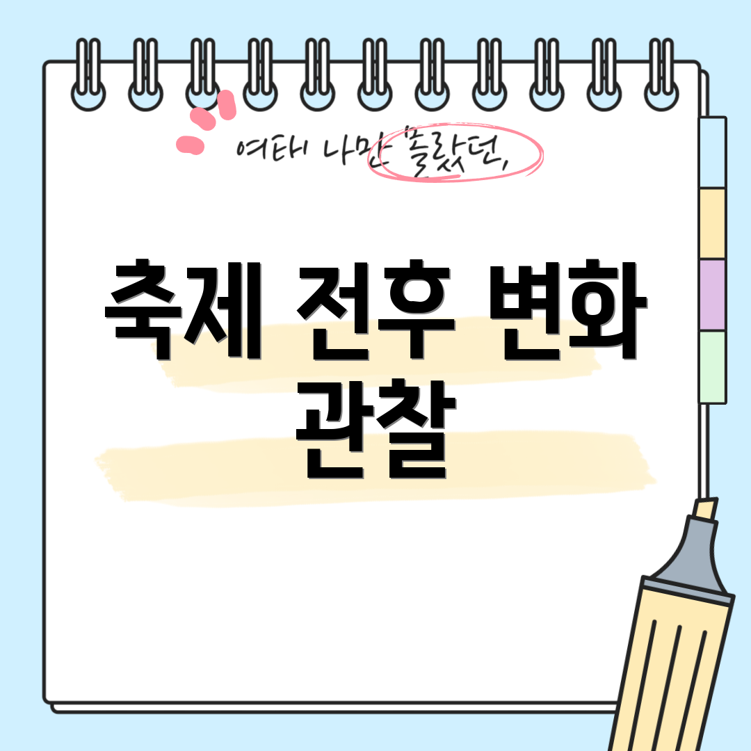 축제 전후 변화 관찰