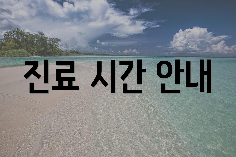 진료 시간 안내