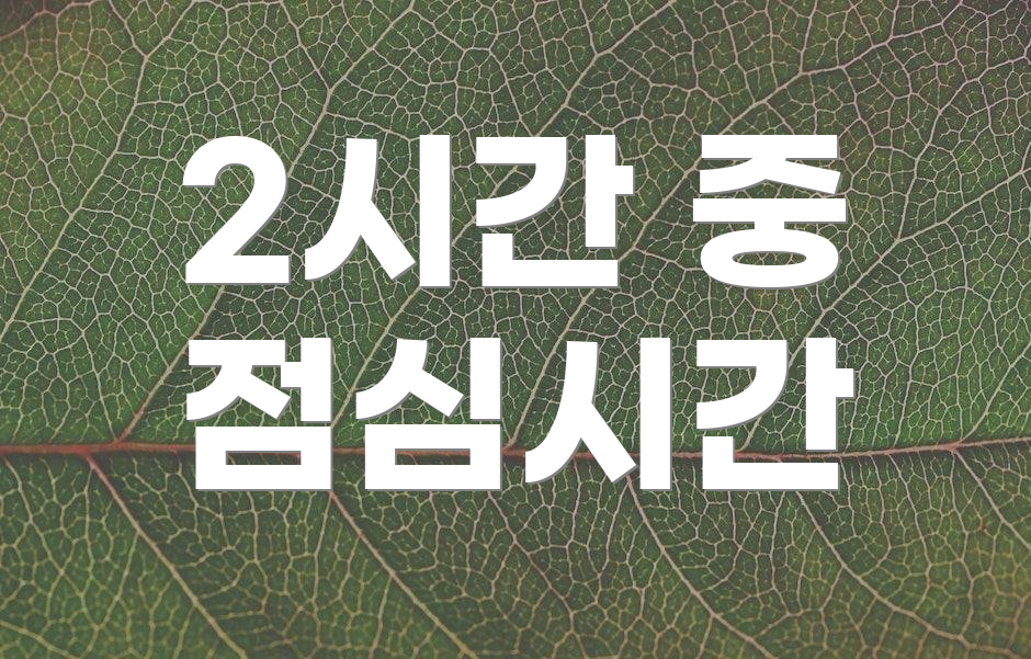 2시간 중 점심시간