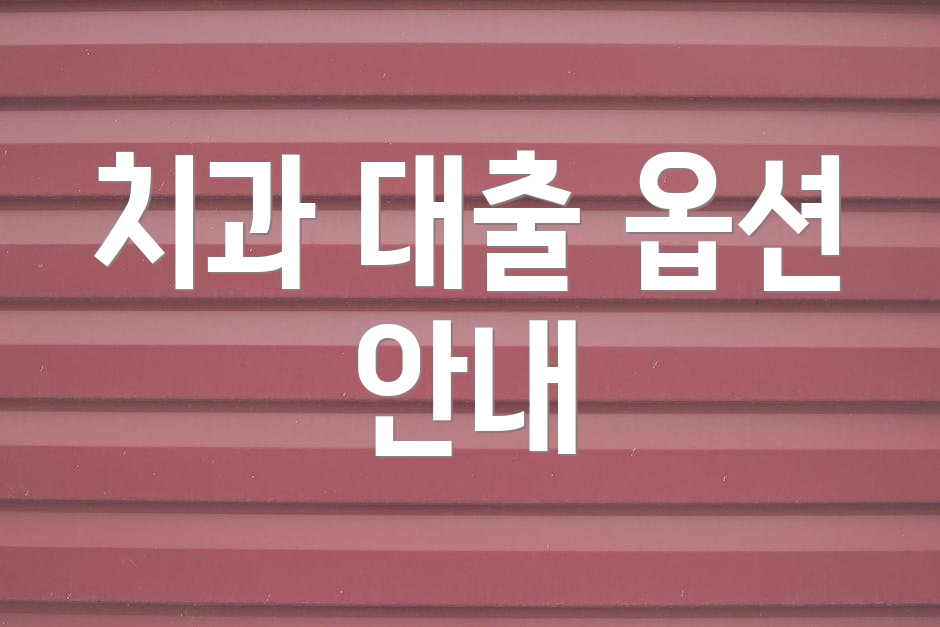 치과 대출 옵션 안내