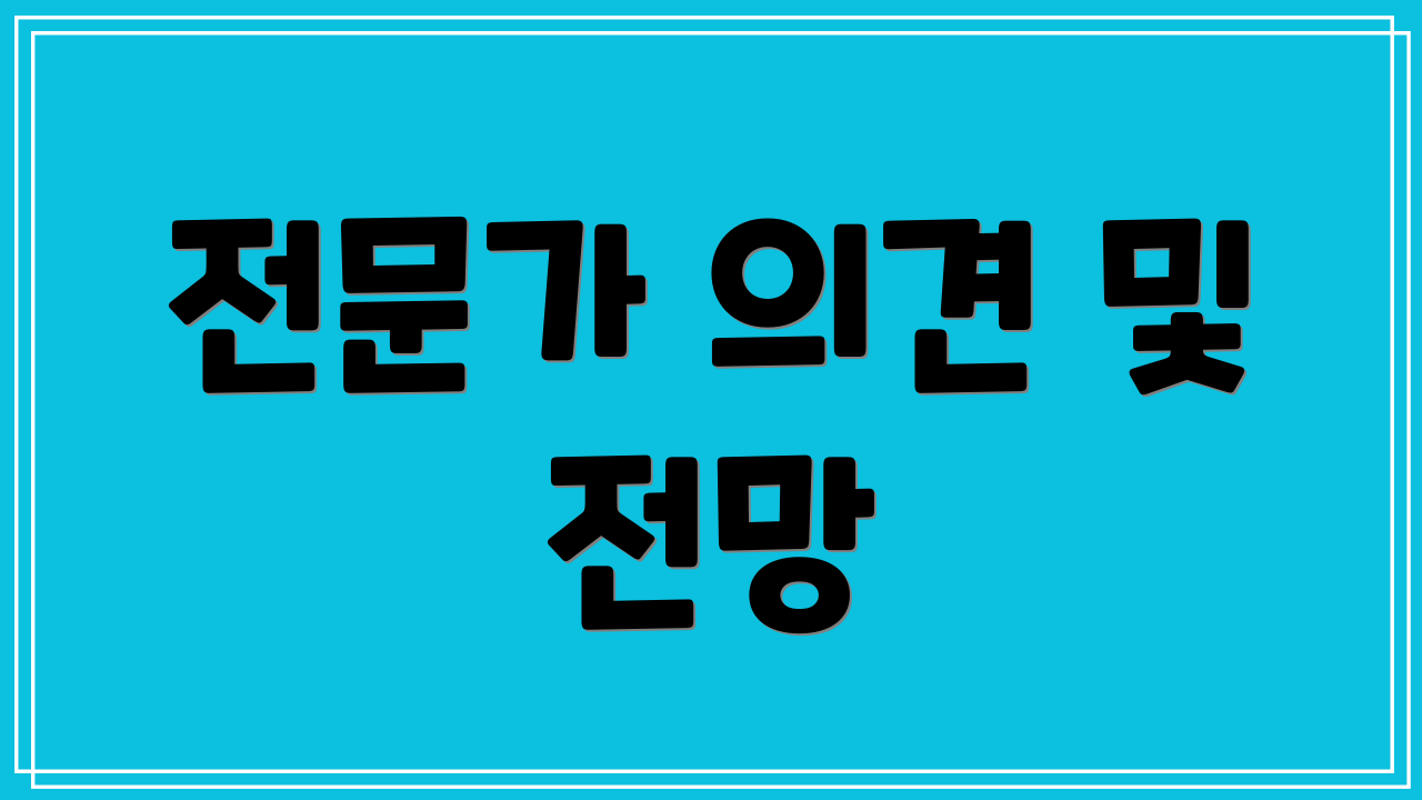 전문가 의견 및 전망