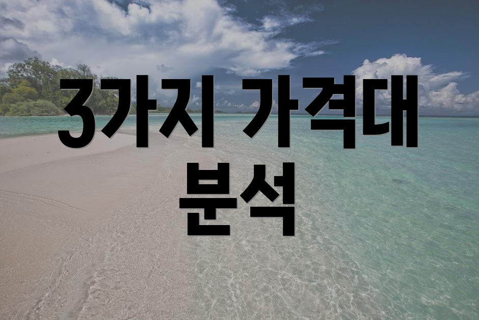 3가지 가격대 분석