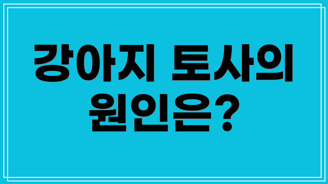 강아지 토사의 원인은?