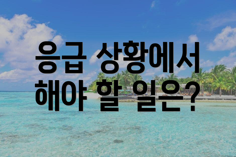 응급 상황에서 해야 할 일은?