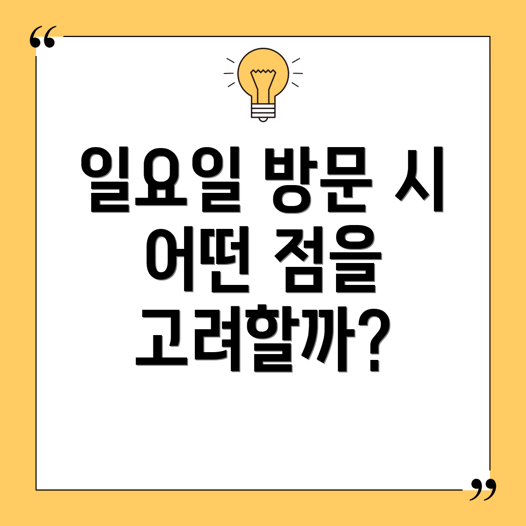 일요일 방문 시 어떤 점을 고려할까?