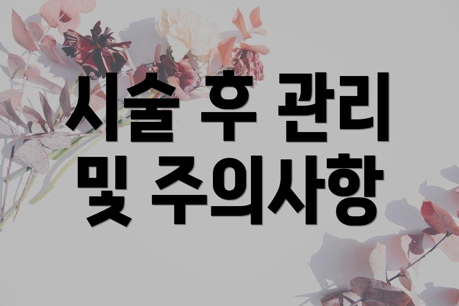 시술 후 관리 및 주의사항