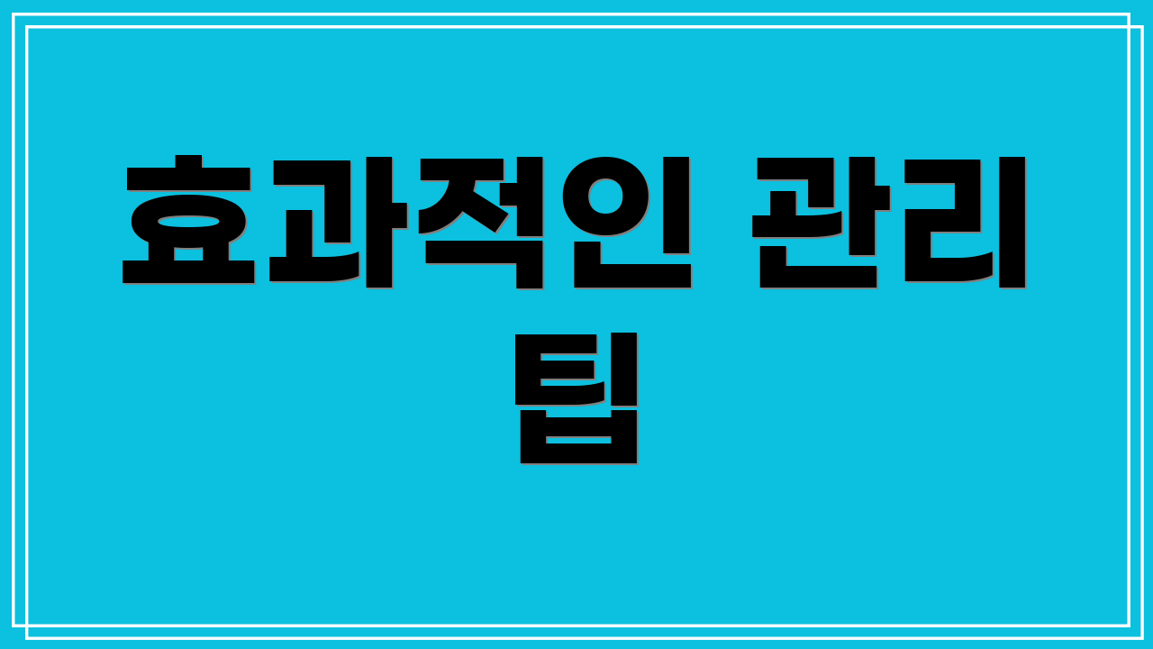 효과적인 관리 팁