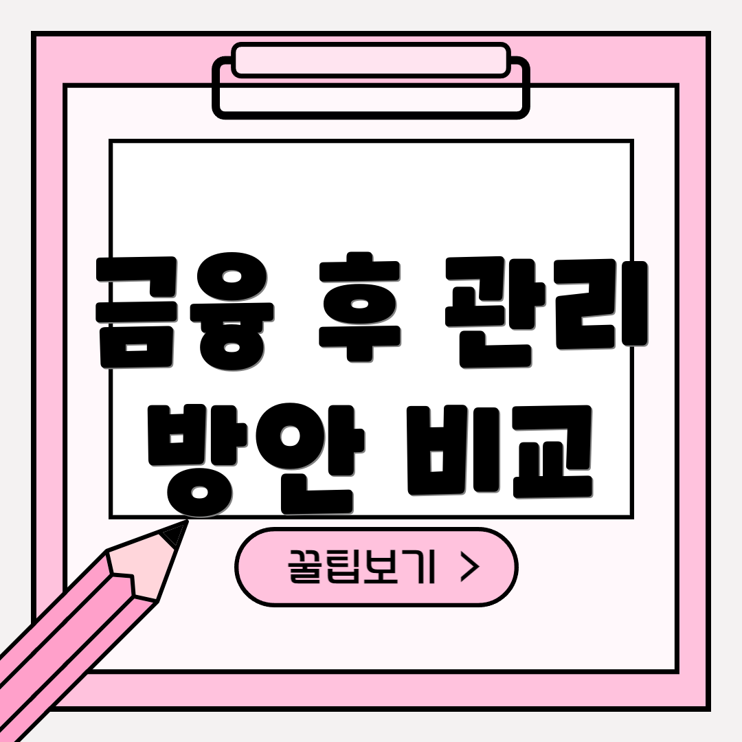 금융 후 관리 방안 비교