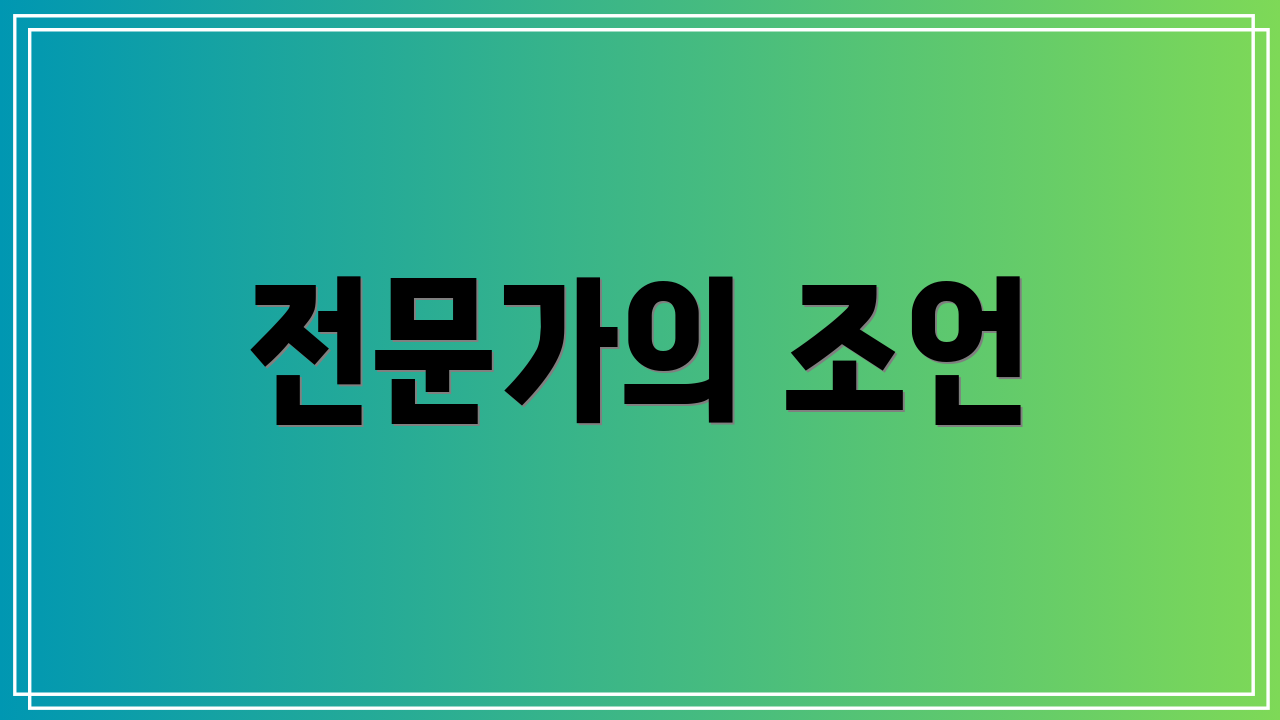 전문가의 조언