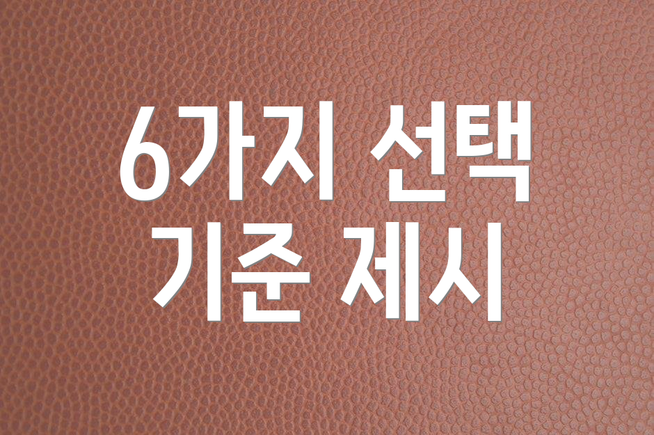 6가지 선택 기준 제시