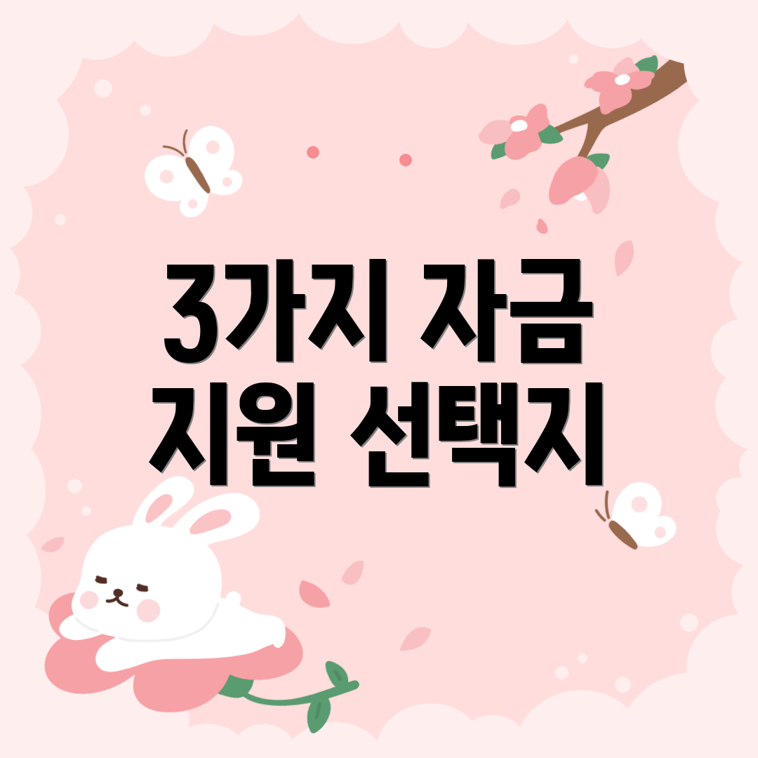 3가지 자금 지원 선택지