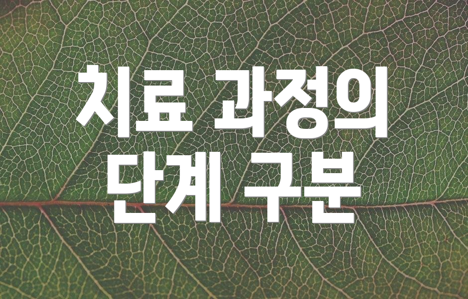 치료 과정의 단계 구분