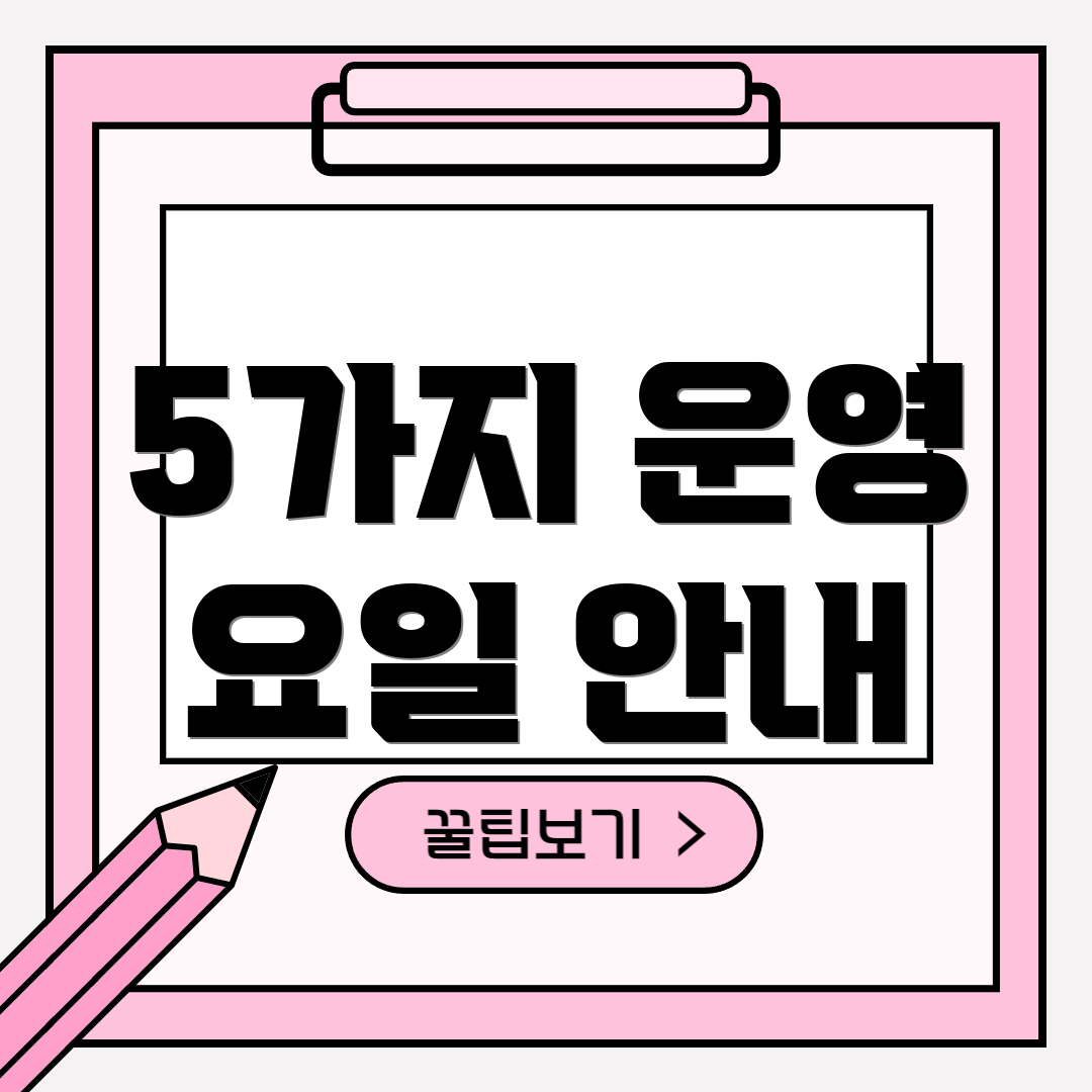 5가지 운영 요일 안내