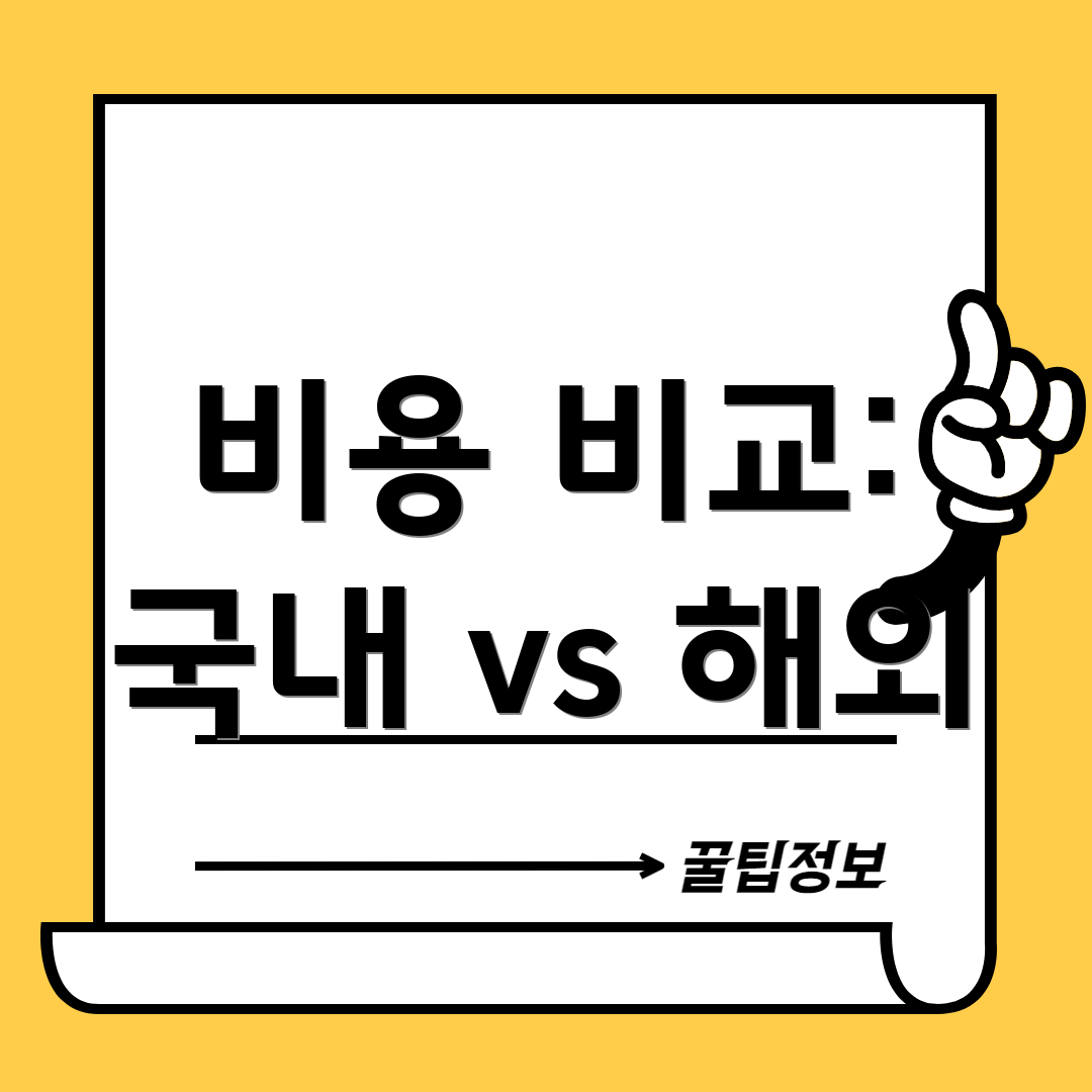 비용 비교: 국내 vs 해외