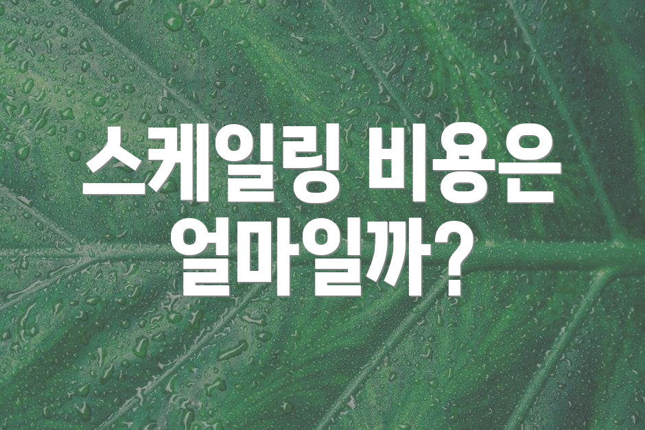 스케일링 비용은 얼마일까?