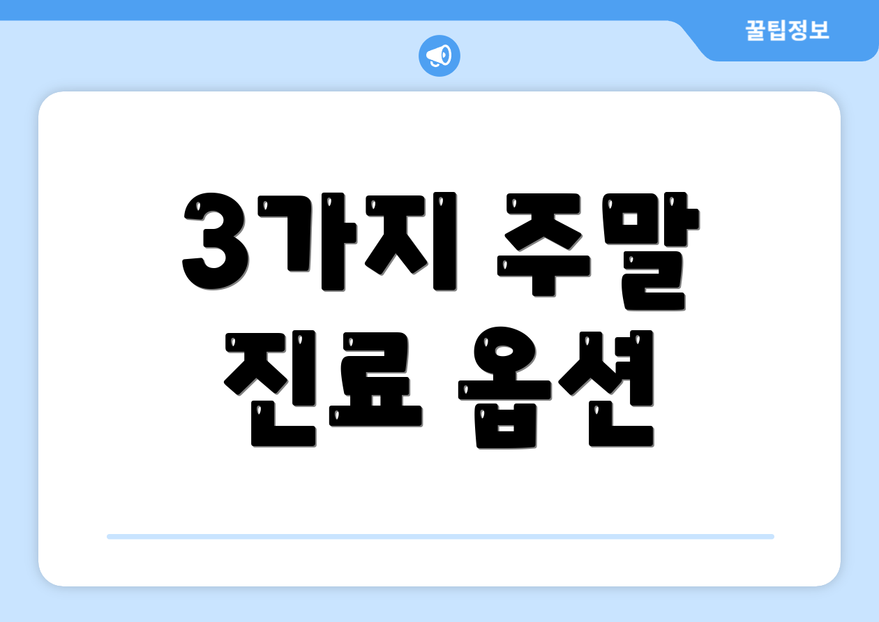 3가지 주말 진료 옵션