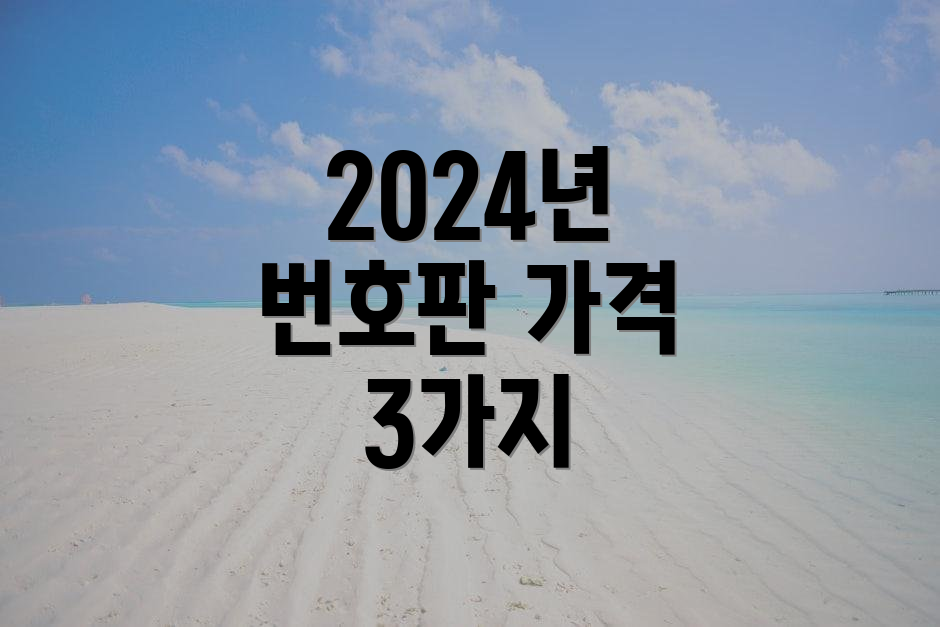 2024년 번호판 가격 3가지