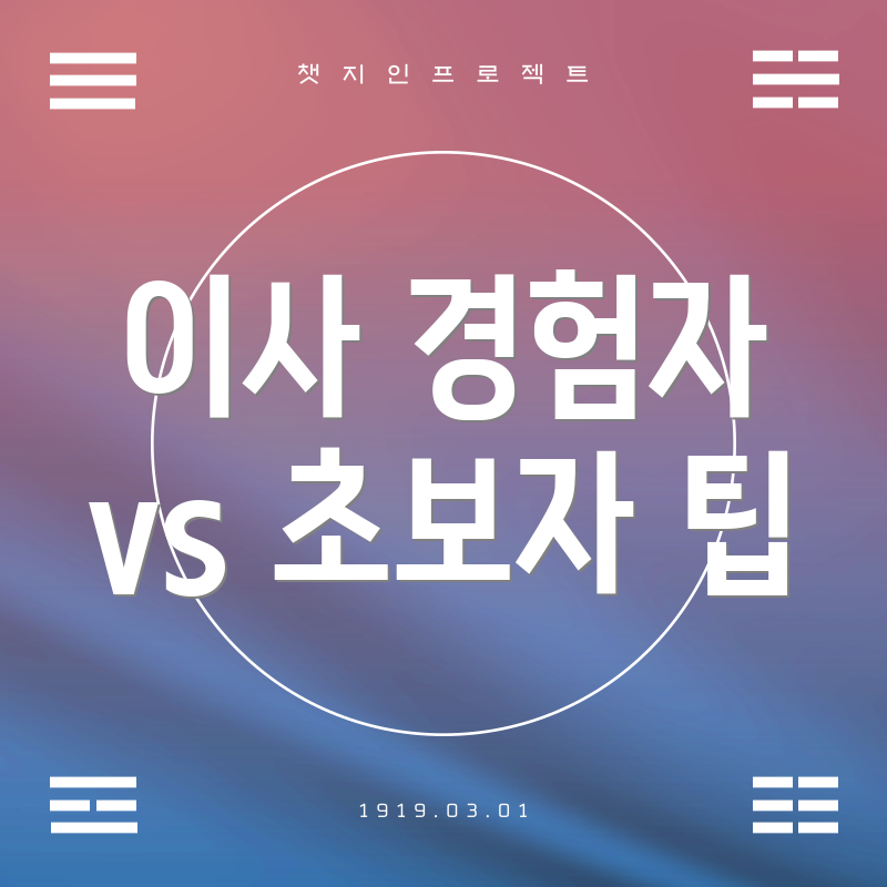 이사 경험자 vs 초보자 팁