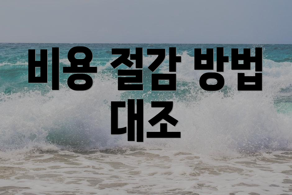 비용 절감 방법 대조