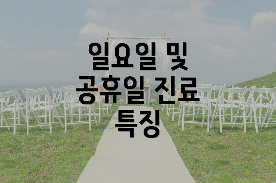 일요일 및 공휴일 진료 특징