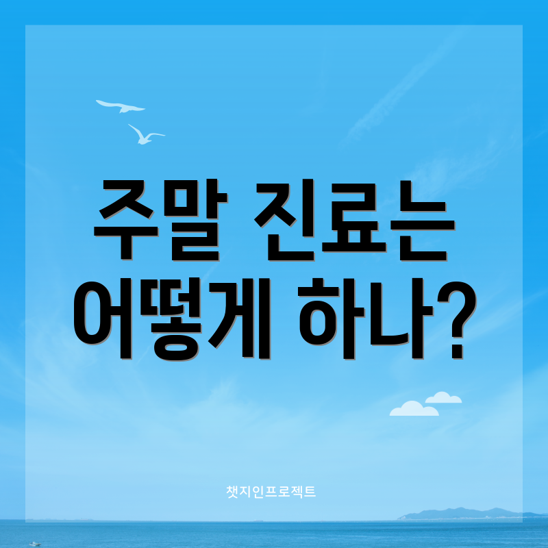 주말 진료는 어떻게 하나?
