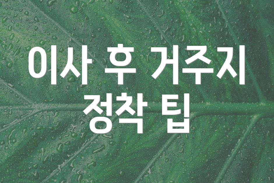 이사 후 거주지 정착 팁